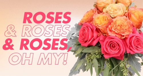 June is Rose Month!